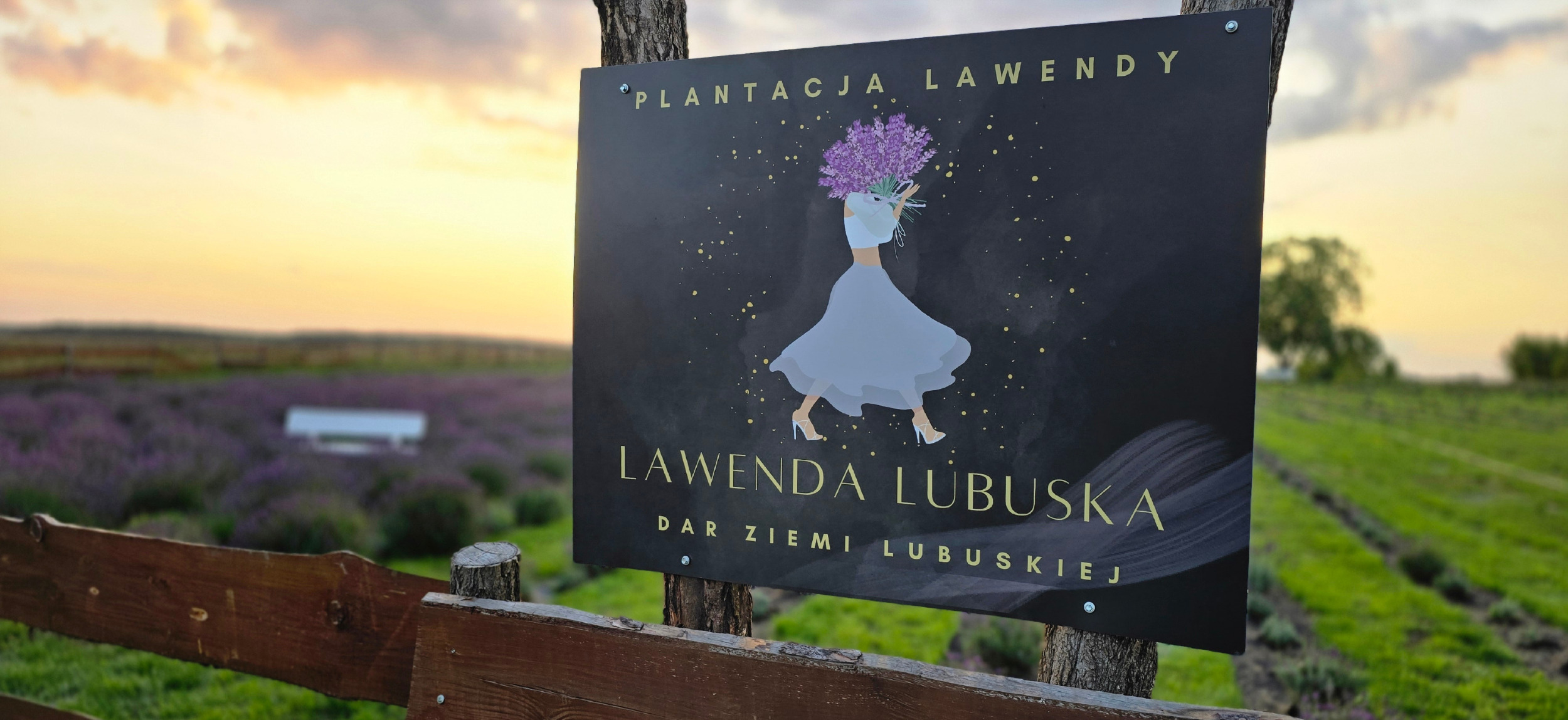 Lawenda Lubuska Plantacja Lawendy w Polsce - lawendowe produkty z Polski