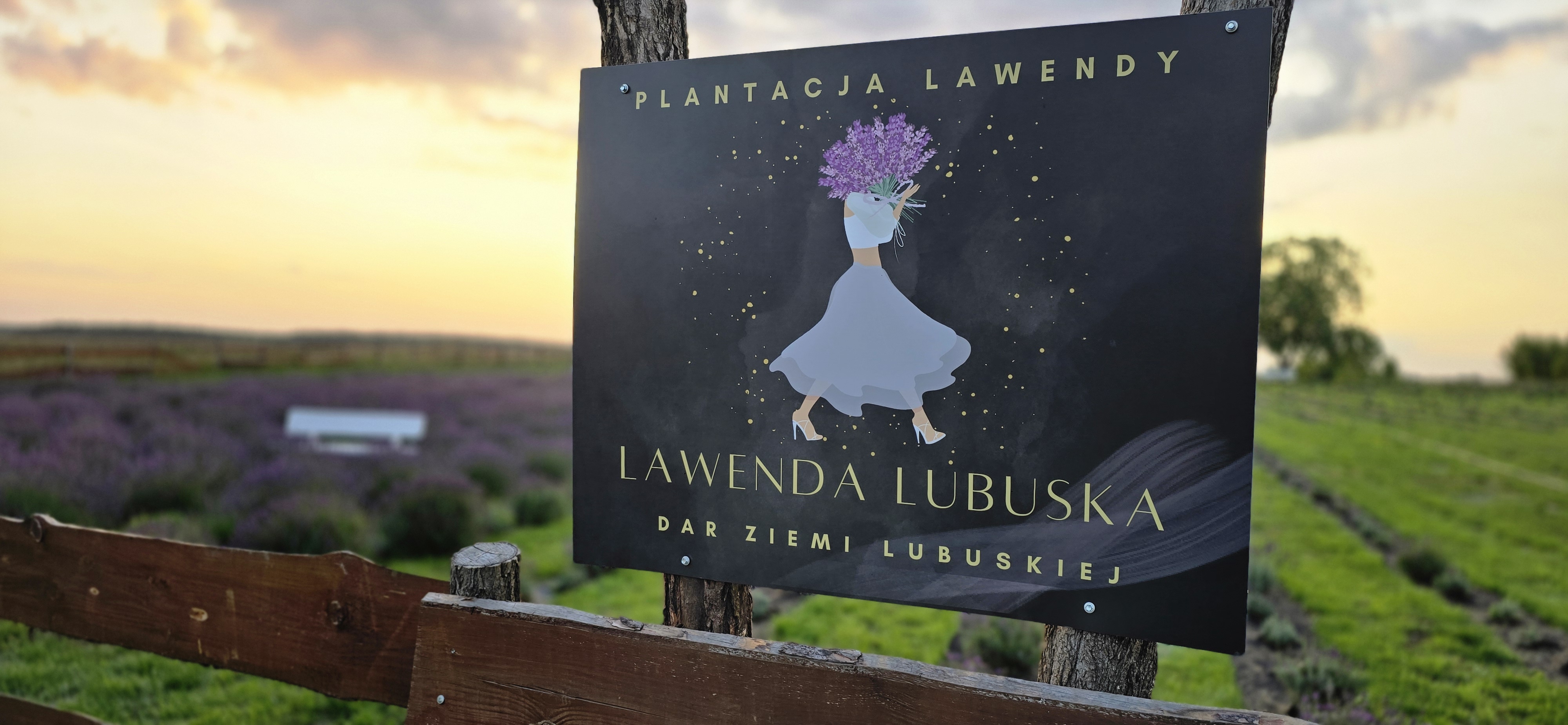 Producent: Gospodarstwo Rolne Karolina Ślebioda - Plantacja Lawendy - Lawenda Lubuska (przejdź do produktów)